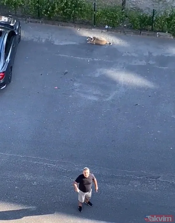 'Daire 16' sözleriyle gündem oldu! Köpük yerinde kalacak - 27