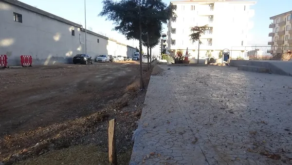 semaver-cay-icmek-icin-agaci-kestiler-belediye-once-ceza-kesti-sonra-yenisini-dikti-1611241297665.jpg Semaver çay içmek için ağacı kestiler! Belediye önce ceza kesti sonra yenisini dikti-3