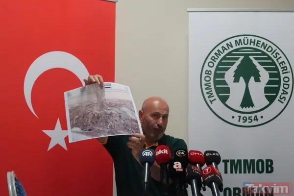 İBB'nin Çırağan'daki ağaç katliamının raporu açıklandı! Bilimsel çalışma yapılmadığı ortaya çıktı - 3