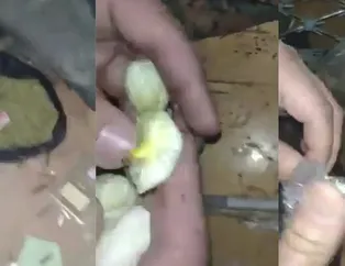 Ermeni askeri birliğinde uyuşturucu bulundu