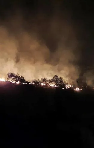 SON DAKİKA: Hatay'daki orman yangını kontrol altında