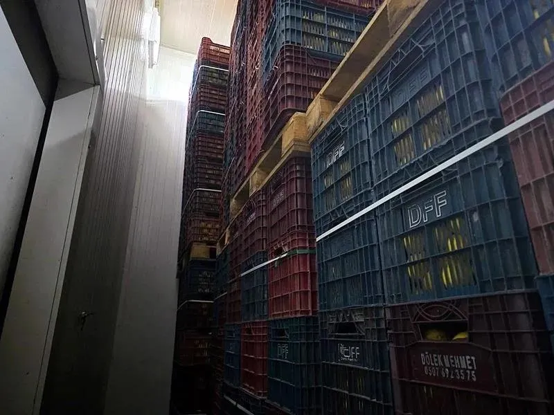 Limon nasıl zam şampiyonu oldu? Ticaret Bakanı Ömer Bolat'tan fahiş fiyatla ilgili flaş açıklama: "Bahaneleri kalmayacak"-5
