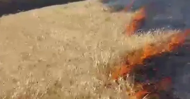 Ağrı Belediye Başkanı Savcı Sayan ve akrabalarının 10 dönüm arazisi yandı