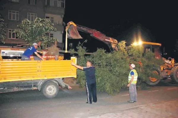 Yine CHP’li belediye yine ağaç katliamı-1