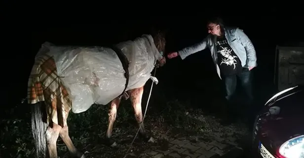 Bursa’da çok ilginç görüntü! Atın donmaması için...