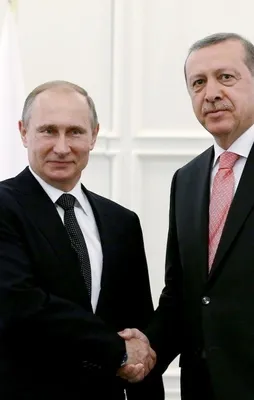 Cumhurbaşkanı Erdoğan, Putin ile görüştü