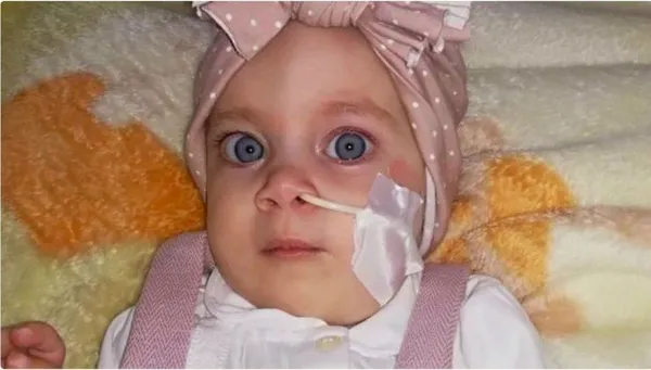 Türkiye Diyanet Vakfı heyetinin de kaldığı otelde patlama: 4 ölü (Güncel haberler)-9