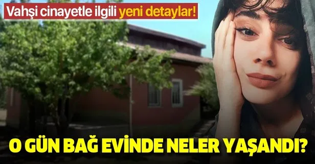 Son dakika: Pınar Gültekin cinayetinde yeni gelişme! O gün bağ evinde neler yaşandı