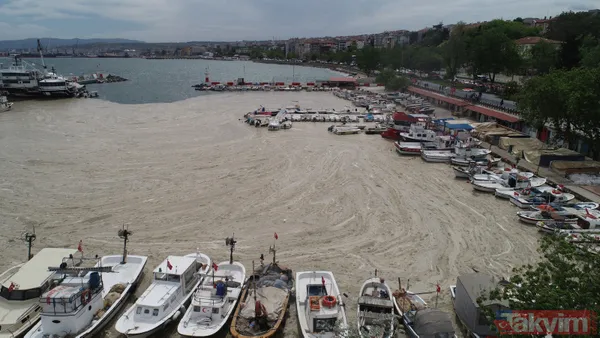 SON DAKİKA: Marmara Denizi'ndeki müsilajın (deniz salyası) son durumu İTÜ UHUZAM uyduları tarafından görüntülendi - 26