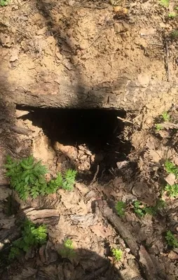 Tunceli'de PKK'ya büyük darbe