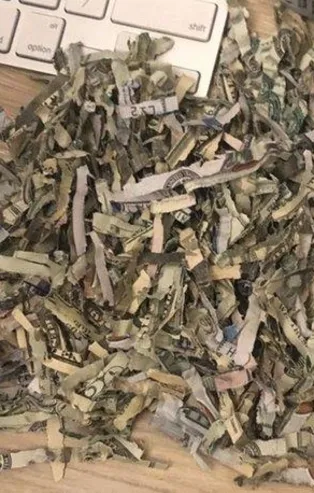 Amerika'da bir çocuk babasının kombine bilet parasını doğradı!