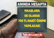 Emekli vatandaşların maaşlarına ek olarak 750 TL nakit ödeme yapılacak! Kamu bankaları resmen duyurdu: Anında hesapta