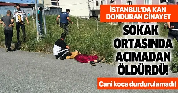 Son dakika: İstanbul Arnavutköy’de bir kadın sokak ortasında  pompalı silahla vurularak öldürüldü