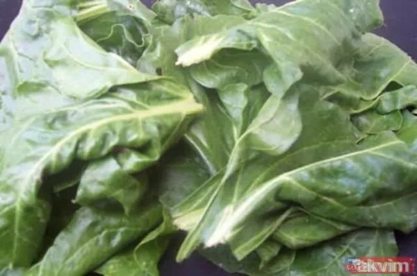 Bu besinler beyin gelişimini destekliyor! İşte iyi gelen o besinlerin listesi... - 14