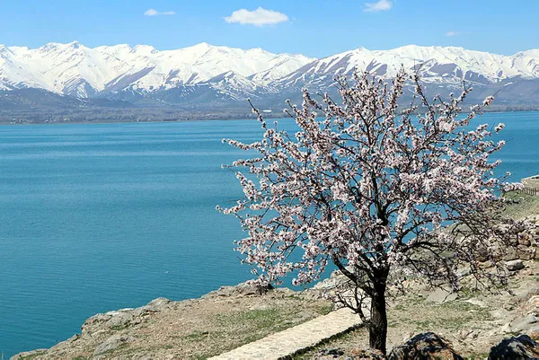 son-dakika-nasanin-yarismasini-van-golu-kazandi-1618327755150.jpg Son dakika! NASA'nın yarışmasını Van Gölü kazandı-5