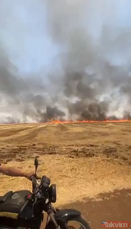 Anız yakma, yaktırma! Tarım ve Orman Bakanı İbrahim Yumaklı'dan çiftçiye 'yangın' uyarısı: Hasatta sigara içme, tarlada çay demleme - 13