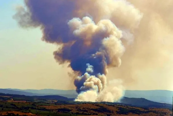 Tekirdağ’da orman yangını!
