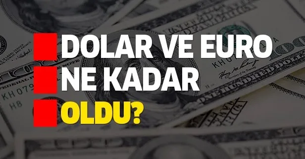 Dolar ve euro ne kadar oldu? 4 Ağustos dolar ve euro alış satış fiyatları kaç TL?