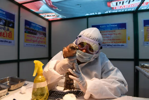 koronavirus-mutasyona-ugramis-koronavirus-derken-simdi-de-kus-gribi-japonyada-58-milyon-kumes-hayvani-itlaf-edildi-1610958294013.jpg Koronavirüs ve mutasyona uğramış koronavirüs derken şimdi de kuş gribi! Japonya'da 5.8 milyon kümes hayvanı itlaf edildi-6