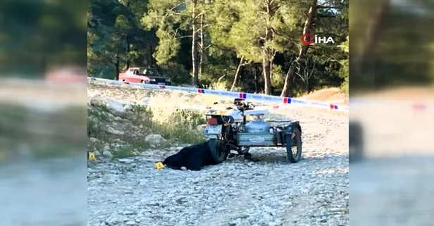 Böyle evlat olur mu! Anne babasına pusu kurup öldürdü: Domuz kurşunuyla...