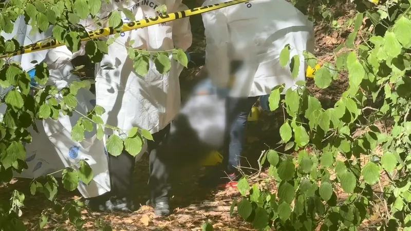 Sarıyer'de ormanlık alanda başına poşet geçirilmiş ceset (DHA)