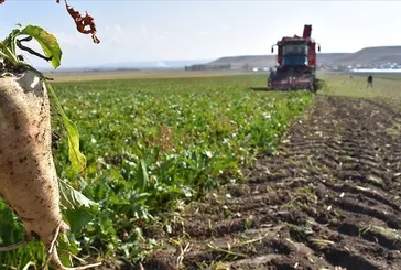 Türkşeker 1.685 daimi işçi alımı kura çekimi sonuçları 2025 | Türkşeker işçi alımı sonuçları ne zaman açıklanacak?