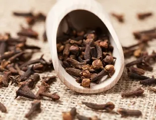 Karanfille şifa bul