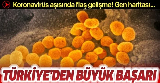 Son dakika: Koronavirüs aşısıyla ilgili Türkiye’den büyük başarı! Tüm gen haritası çıkarıldı