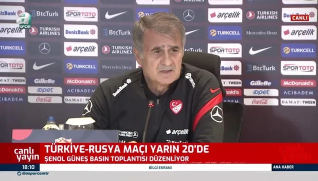 A Milli Takım Teknik Direktörü Şenol Güneş'ten 'Domagoj Vida' açıklaması: İlgili yerlere başvuru yaptık
