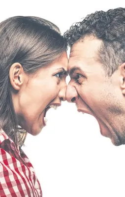 Kabak çekirdeği-kivi geçiriyor öfkeyi