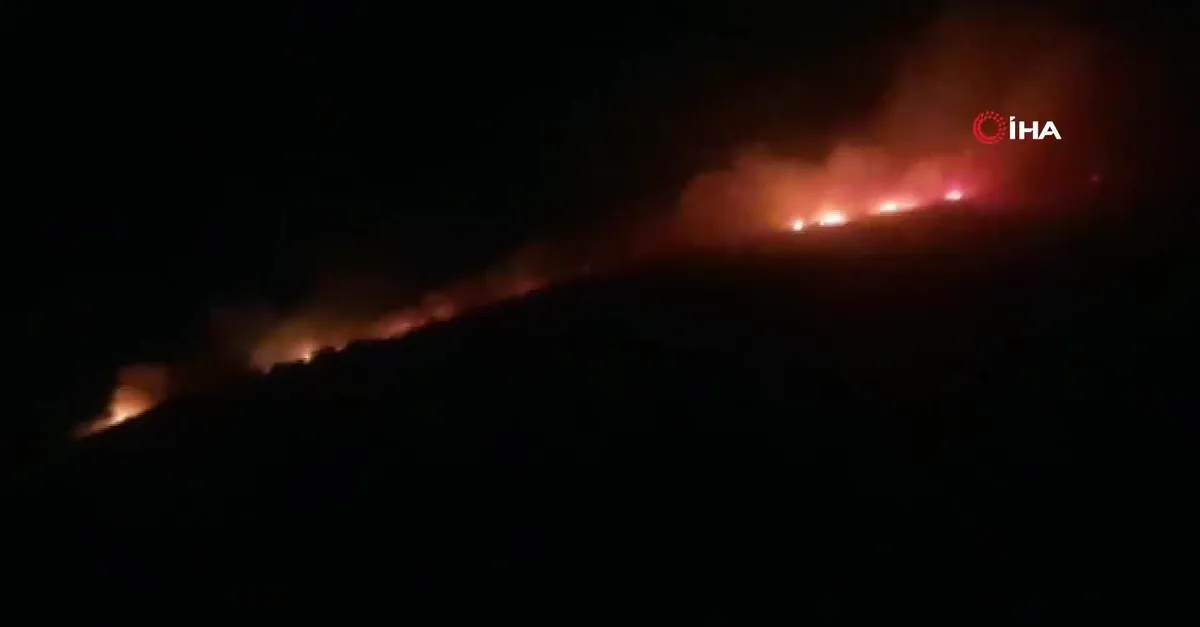 Aydın'da makilik alanda korkutan yangın