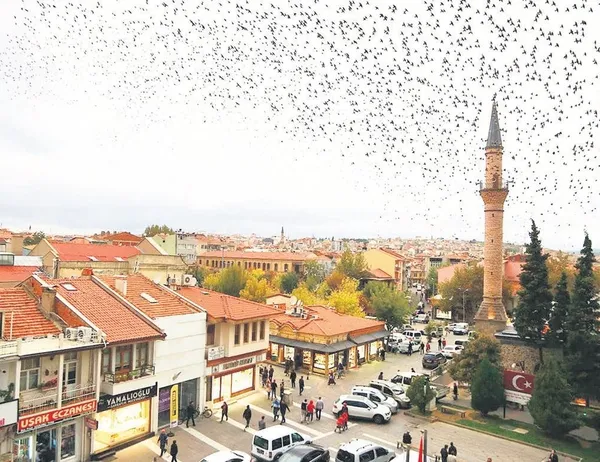 Uşak, virüsü yenen iller arasında yerini aldı sırrını tarhana ile açıkladı: ABD'liler sabaha kadar internette çorba tarifi aradı-3