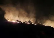 SON DAKİKA: Hataydaki orman yangını kontrol altında