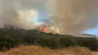 Muğla’da yangın