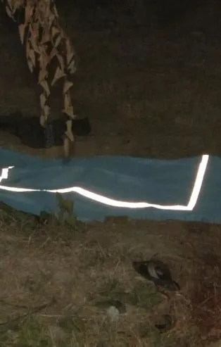 Başakşehir'de kanlı infaz! Öldürdükleri şahsın cesedini Olimpiyat Stadı’nın karşısına attılar