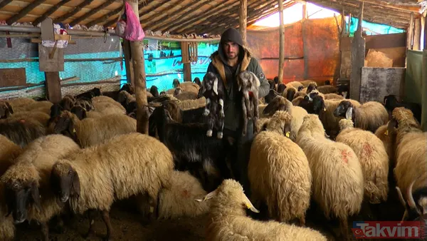 Dondurucu soğukla mücadele! Kuzulara soba başında biberonla bakıyorlar - 5
