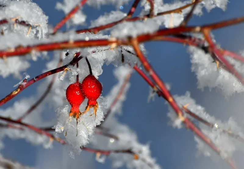 48-saat-boyunca-surecek-istanbulu-bastan-asagi-kusatacak-uzmanlardan-kirmizi-alarm-subat-sonu-1708102105919.jpeg İstanbul'u baştan aşağı kuşatacak! 48 saat boyunca sürecek! Uzmanlardan kırmızı alarm! Şubat sonu...-4