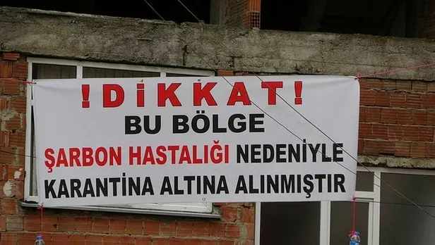 kesilen-buyukbas-sarbonlu-cikti-mahalle-karantinaya-alindi-1597748733945.jpg Trabzon'da şarbon paniği! Herkes hastanelik oldu, karantina başladı...-1