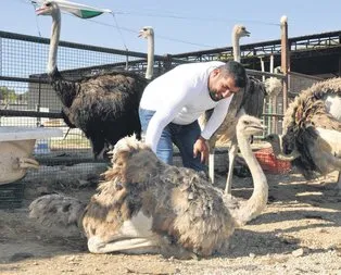 Hobi olarak başladı çiftlik kurdu