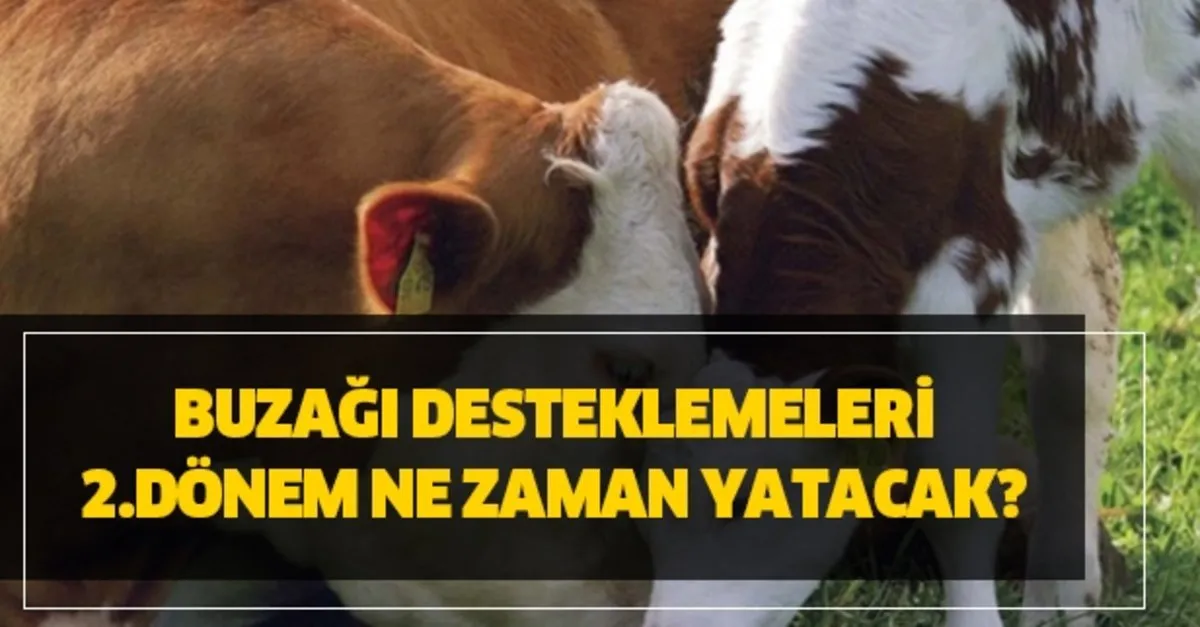 2018 2 Donem Buzagi Desteklemesi Kac Para Yatti Mi Odeme Tarihi Takvim
