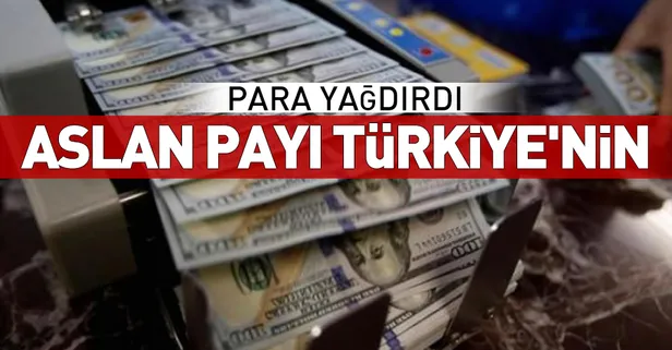 IFC'den Türkiye'ye 1,1 milyar dolar yatırım