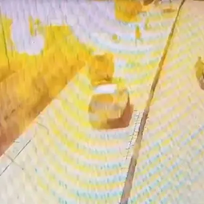 Pakistan’da terör saldırısı