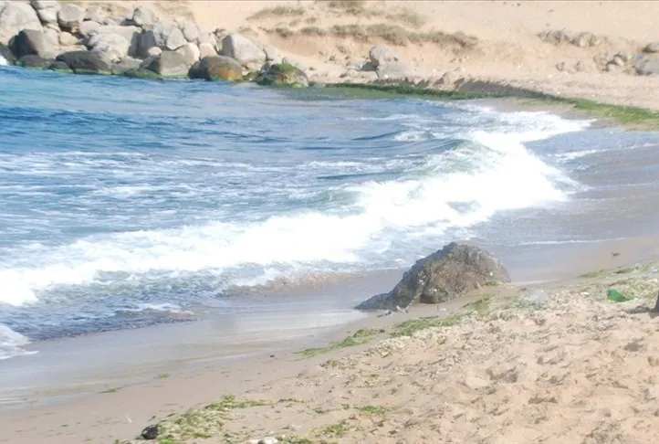 Beykoz’da deniz yasağı