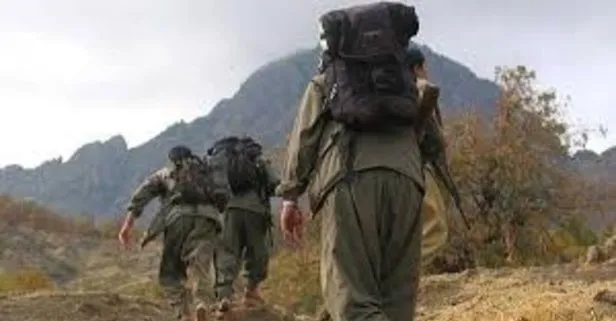 Yurt içinde kaç PKK’lı terörist kaldı?