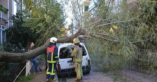 Avcılar’da otomobilin üstüne ağaç devrildi