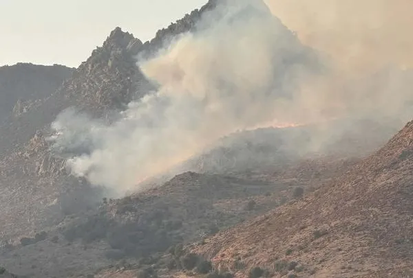 Bodrum’da maki yangını