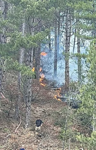 Son dakika: Bursa'da orman yangını