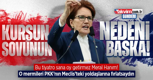 İYİ Parti Genel Başkanı Meral Akşener'in Meclis kürsüsündeki kurşun şovunun asıl nedeni başka!