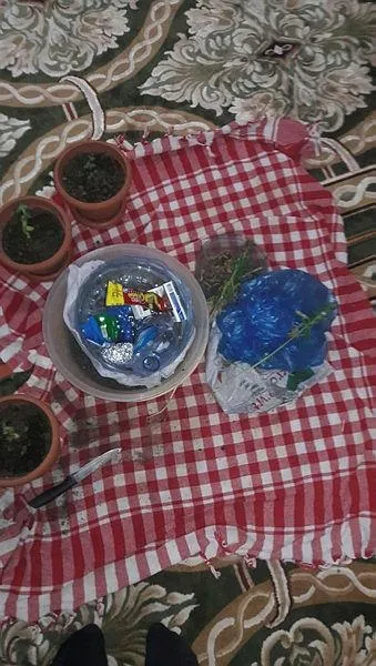 FETÖ'cü astsubay evinde uyuşturucu yetiştirmiş-2