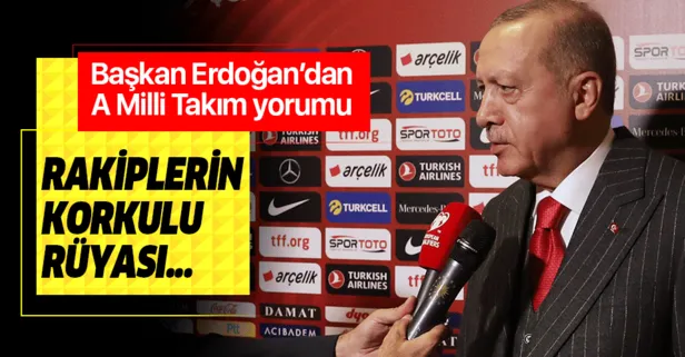 Başkan Erdoğan'dan A Milli Takım'a tebrik